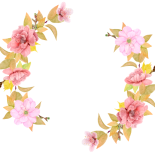 flower-circle BG